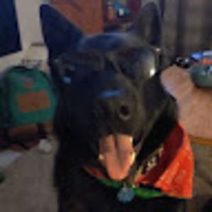 Meet your Posher, Bryan